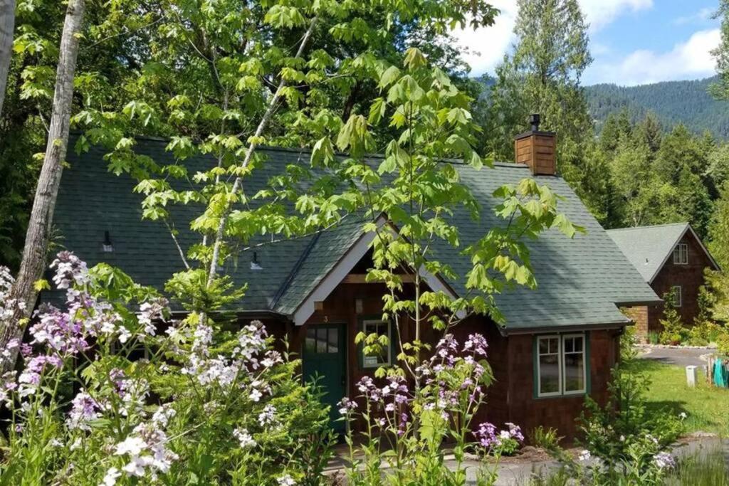 On The River Wooded Bliss Cabin Near Loloma McKenzie Bridge エクステリア 写真